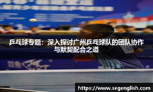 乒乓球专题：深入探讨广州乒乓球队的团队协作与默契配合之道